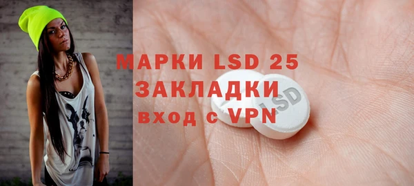 apvp Алзамай