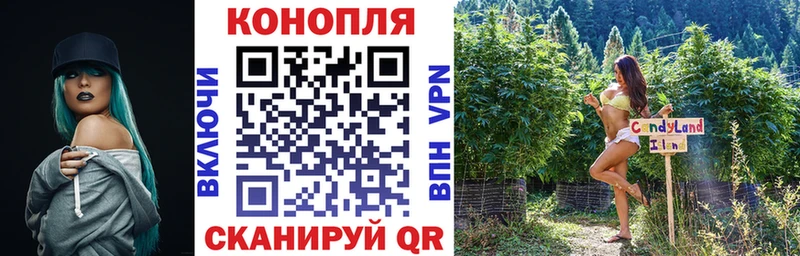 Шишки марихуана сатива  Сусуман 